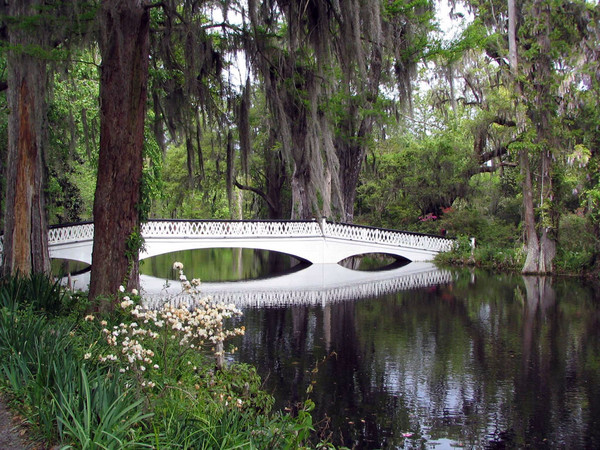 Magnolia Plantation